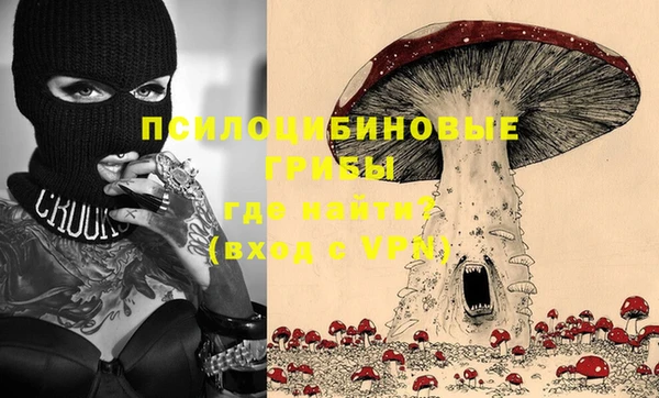 соль ск Алексин
