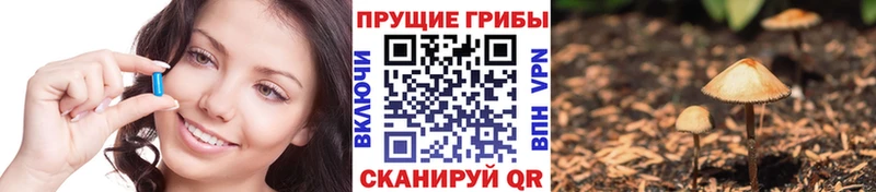 Галлюциногенные грибы MAGIC MUSHROOMS  сколько стоит  Ставрополь 